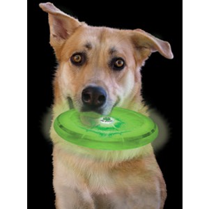 NITE IZE - Innovative Accessories - NI-FFDD-08 - Hunde LED Wurfscheibe