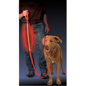 NITE IZE - Innovative Accessories - NI-NNL-03-10 -  L.E.D. Pet Leash