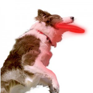 NITE IZE - Innovative Accessories - NI-NDD-03 - Nite Dawg LED Soft Disk