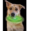 NITE IZE - Innovative Accessories - NI-FFDD-08 - Hunde LED Wurfscheibe