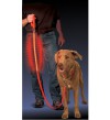 NITE IZE - Innovative Accessories - NI-NNL-03-10 -  L.E.D. Pet Leash