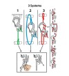NITE IZE - Innovative Accessories - NI-C9L - Carabiner Figure 9, Large