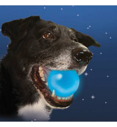 NITE IZE - Innovative Accessories - NI-MTLP-08 - LED Meteor-Ball