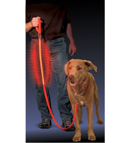 NITE IZE - Innovative Accessories - NI-NNL-03-10 -  L.E.D. Pet Leash