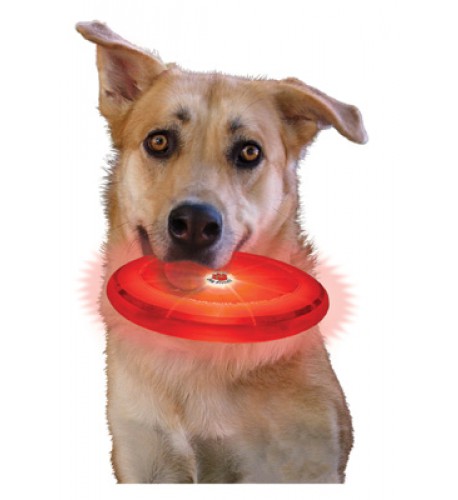 NITE IZE - Innovative Accessories - NI-FFDD-08 - Hunde LED Wurfscheibe