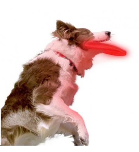 NITE IZE - Innovative Accessories - NI-NDD-03 - Nite Dawg LED Soft Disk