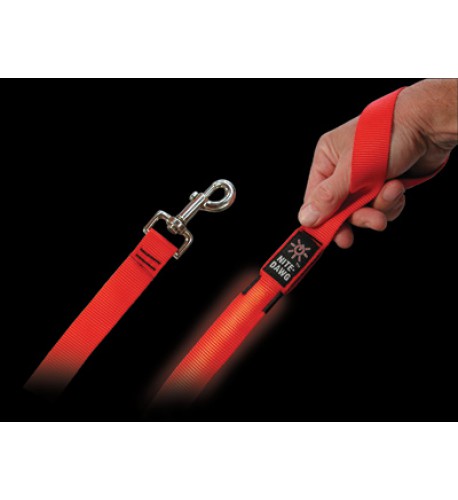 NITE IZE - Innovative Accessories - NI-NNL-03-10 -  L.E.D. Pet Leash