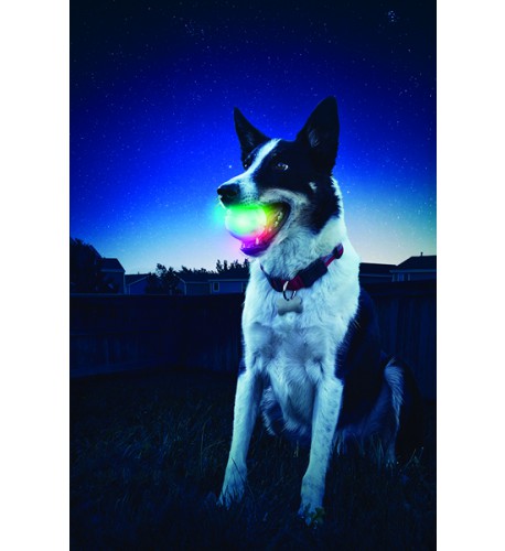 NITE IZE - Innovative Accessories - NI-GSB - GlowStreak