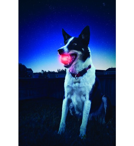 NITE IZE - Innovative Accessories - NI-GSB - GlowStreak
